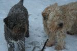 img_0393_66314413