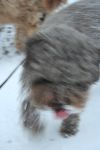 img_0396_66310343