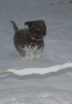 img_0397_66310006